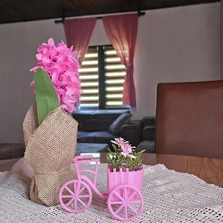 River Valley Apartment