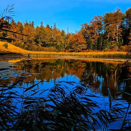 River Valley * Foca